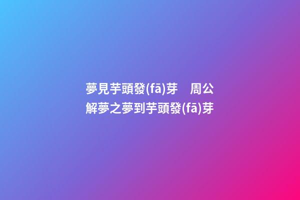 夢見芋頭發(fā)芽　周公解夢之夢到芋頭發(fā)芽